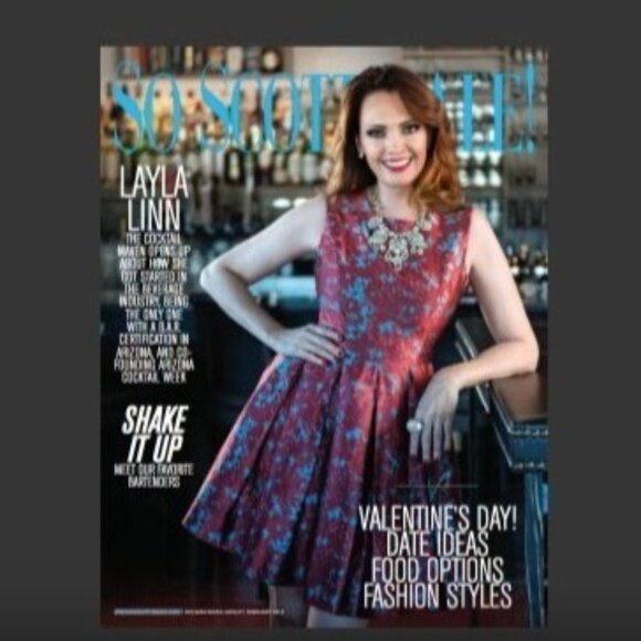 BB Dakota Cocktail Dress Box Pleated Red Brocade Abstract Fit+Flare Size 2 - Picture 11 of 14